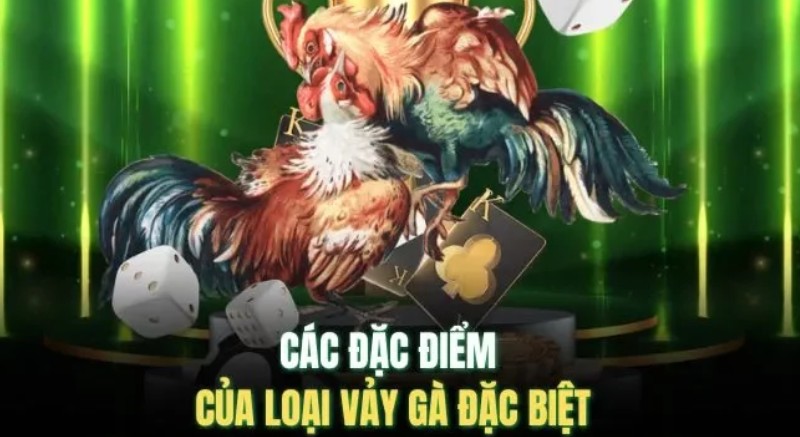 Tìm Hiểu Vảy Gà Huyền Trâm Rất Quý Hiếm Tại 23WIN Screenshot 1