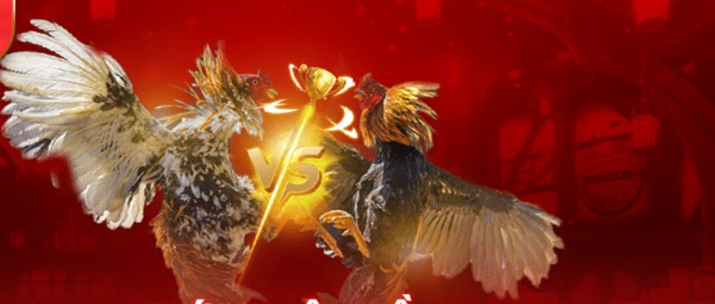 Tìm Hiểu Vảy Gà Huyền Trâm Rất Quý Hiếm Tại 23WIN vảy gà huyền trâm